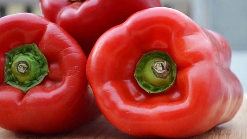 Sweet and juicy variety of Cholstyach pepper for greenhouses and open ground