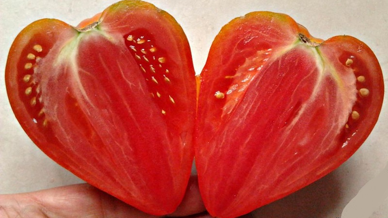 Delicious and aromatic tomatoes that look like giant berries - amazing tomato German red strawberry