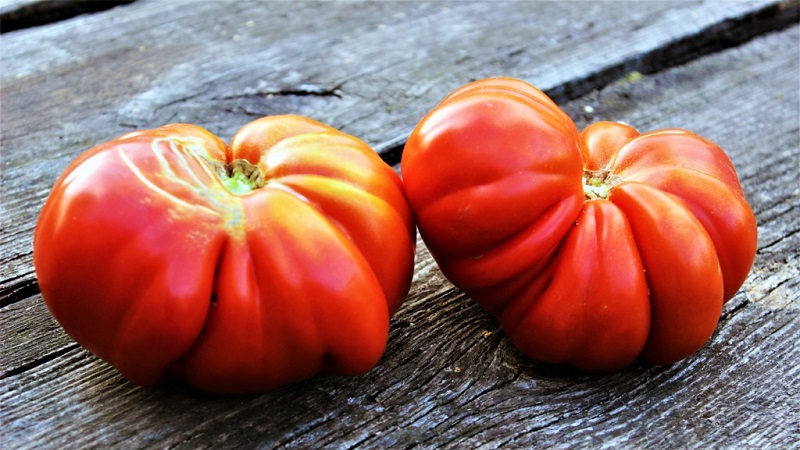 We grow on our own large tomatoes with sweet, juicy, grainy pulp: tomato Buffalo Heart