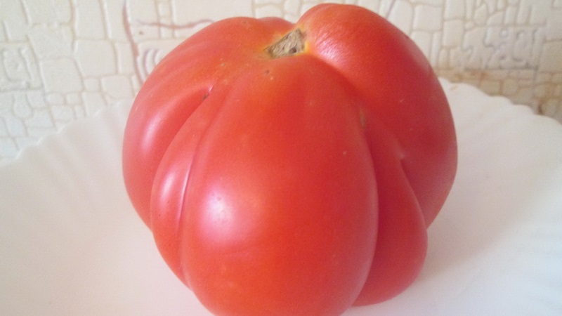 We grow on our own large tomatoes with sweet, juicy, grainy pulp: tomato Buffalo Heart