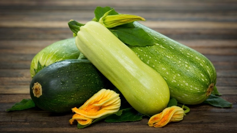 DIY original winter snacks: how to salt zucchini - 12 most delicious recipes