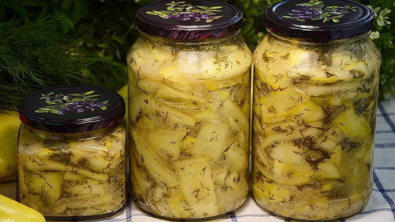 DIY original winter snacks: how to salt zucchini - 12 most delicious recipes
