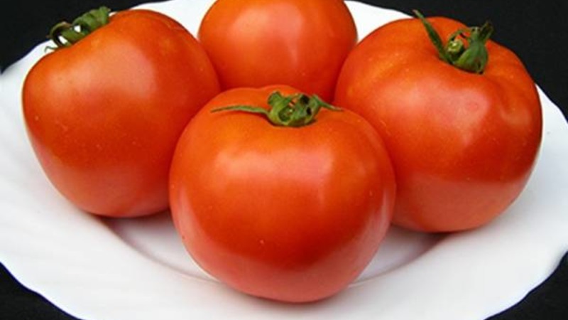 Bright and tasty Dutch tomato variety Tanya: we get acquainted with the advantages and grow ourselves