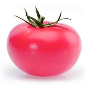 Sweet, large and very fragrant Pandarosa tomatoes - garden decoration