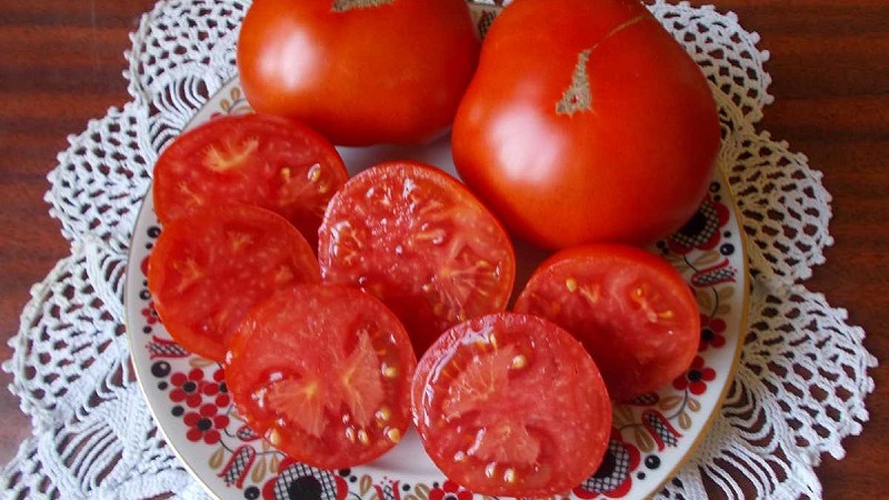 Low-growing variety for novice summer residents - Mongolian dwarf tomato: description of the variety and reviews of its cultivation