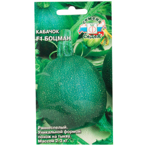 The best varieties of zucchini for open ground: a photo with a description, tips for choosing