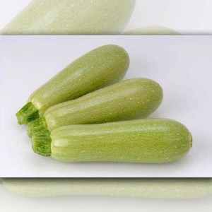 The best varieties of zucchini for open ground: a photo with a description, tips for choosing