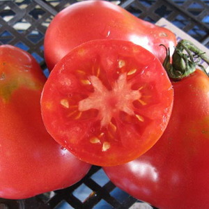 Pear-shaped variety with sweet taste and amazing aroma - tomato Ivan Kupala