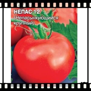 What is a nepas tomato (nonsynky), what is it good for, how it is grown and what varieties are considered the best