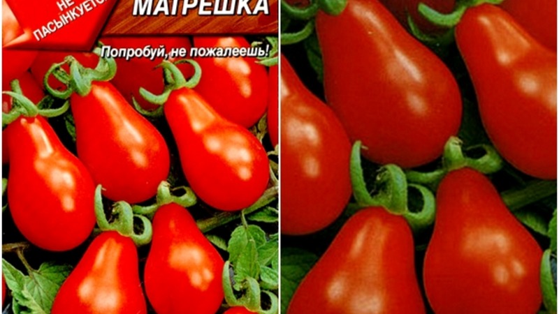 How to grow an incredibly beautiful and tasty Matryoshka tomato on your own on your site