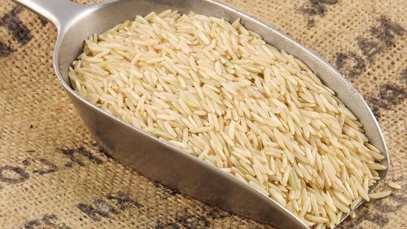 How Basmati Rice Is Different From Regular Rice