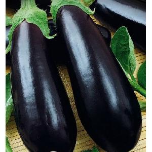 A relatively new, but managed to fall in love with summer residents variety of eggplant Almaz