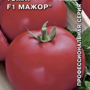 Mid-season variety with fruits, as in the picture - tomato Major and instructions for growing it in open and closed ground
