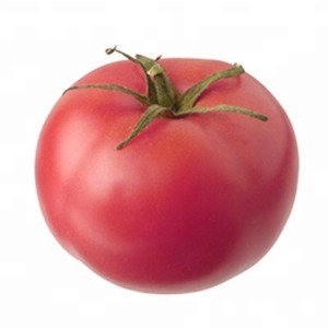 Mid-season variety with fruits, as in the picture - tomato Major and instructions for growing it in open and closed ground