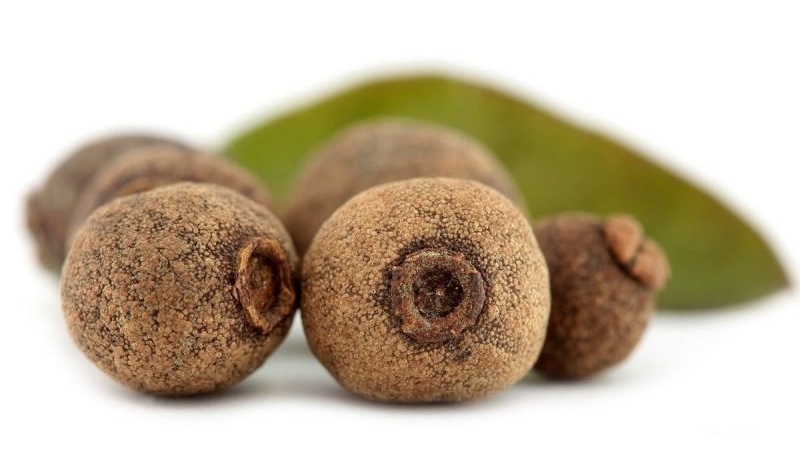 How allspice peas grow in a natural environment and how to grow it at home
