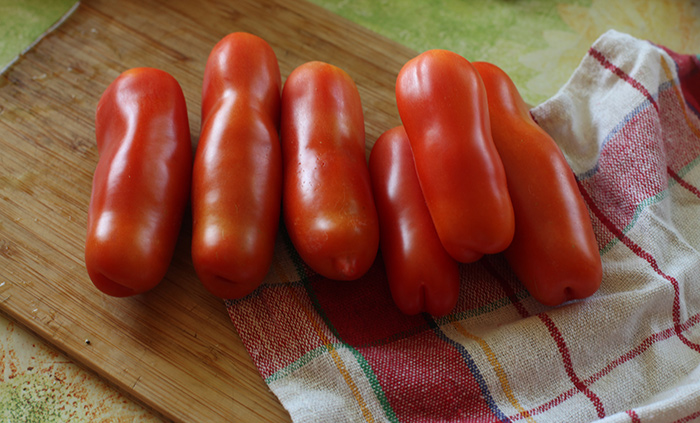 What will pleasantly surprise you with an unusual-looking tomato Zhigalo: reviews, photos and description of agricultural technology