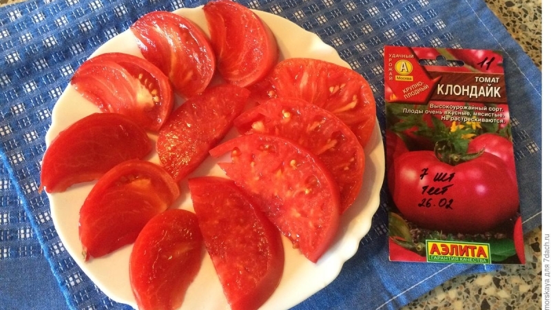 Beta Carotene Champion: Recommended Diet Klondike Tomato