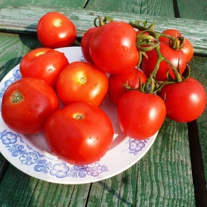 High-yielding hybrid tomato Alhambra, delighting with large juicy fruits and resistant to diseases