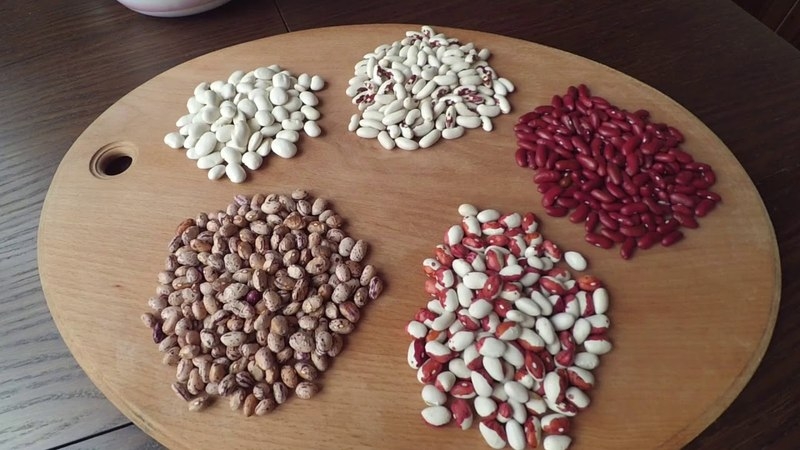 How to cook canned beans for the winter: the most delicious homemade recipes