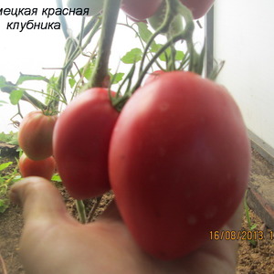 A variety with an appetizing name - Strawberry tomato: we grow it correctly and collect up to 5 kg from a bush