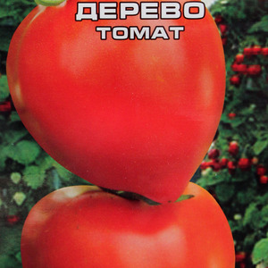 A variety with an appetizing name - Strawberry tomato: we grow it correctly and collect up to 5 kg from a bush