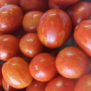 A striking representative of a new cocktail species - tomato Easter egg: a full review