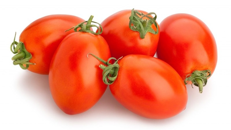 Unpretentious tomato Marusya with excellent taste: we grow it ourselves and enjoy the harvest