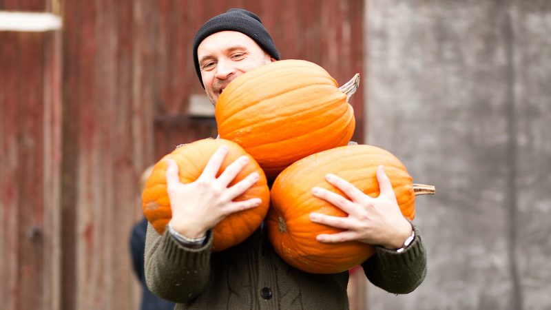 Why pumpkin is useful for men and how to use it correctly with maximum healing effect