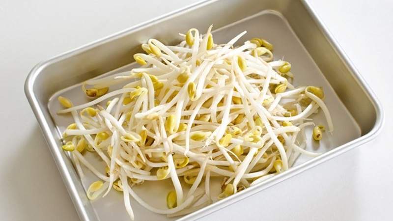 Why bean sprouts are useful, how to sprout them correctly and cook them deliciously