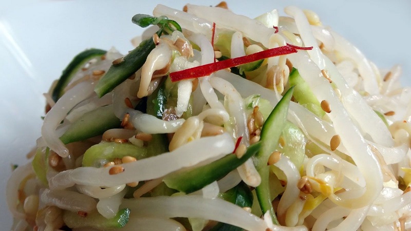 Why bean sprouts are useful, how to sprout them correctly and cook them deliciously