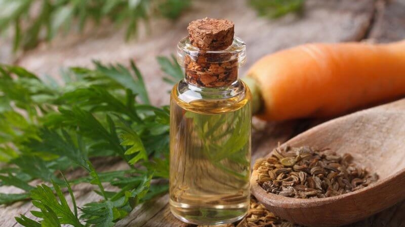 Why are dill seeds useful for the pancreas and how to use them correctly