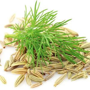 Why are dill seeds useful for the pancreas and how to use them correctly