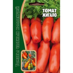What will pleasantly surprise you with an unusual-looking tomato Zhigalo: reviews, photos and description of agricultural technology