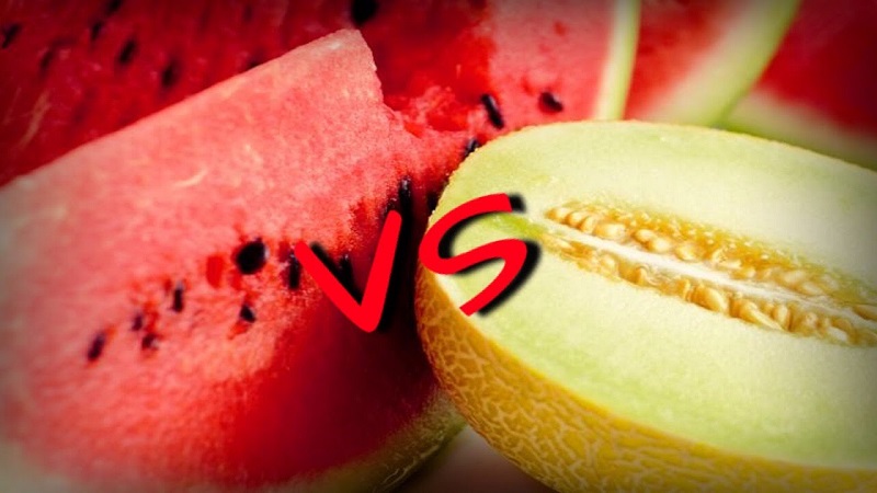 What is healthier - watermelon or melon: comparison of compositions and properties