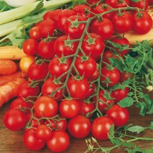 Long lashes strewn with delicious tomatoes - Rapunzel tomato: description, photo and instructions for growing