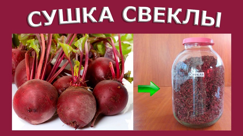 An interesting preparation for the winter: we store dried beets correctly together with the tops and use them in cooking