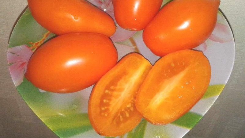Fulfills the desires of summer residents about a rich harvest - the Goldfish tomato and the secrets of its cultivation
