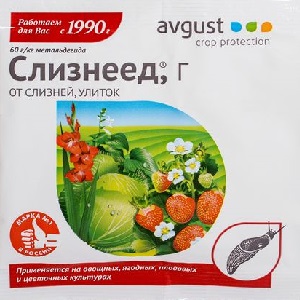 How to deal with slugs on peppers in a greenhouse: the most effective methods of protecting crops from pests