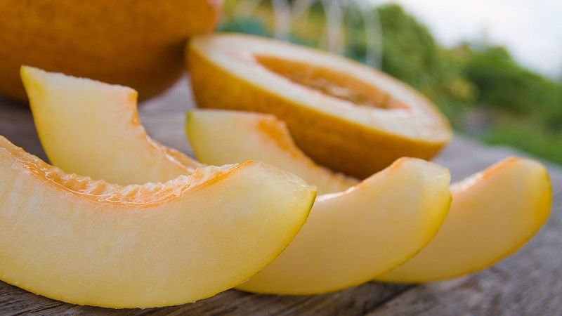 How does melon affect the intestines: weakens or strengthens?
