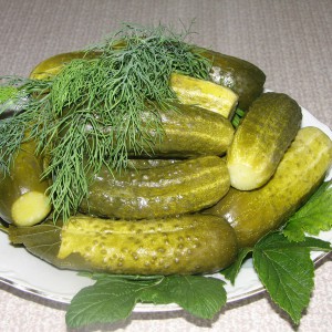 How to properly grow a cucumber Artist: care rules for getting a bountiful harvest