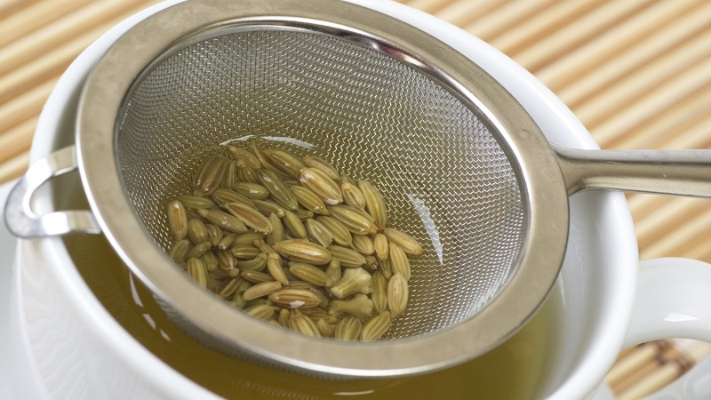 How to properly brew and take dill cough seeds for children and adults