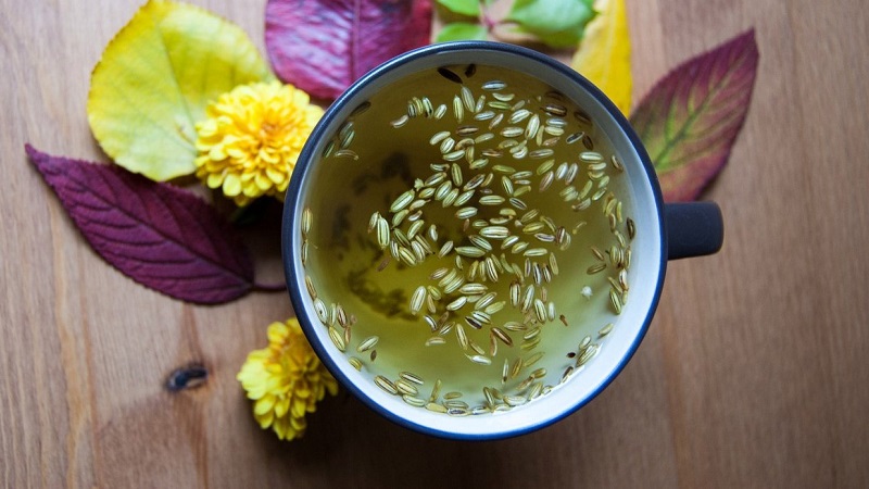 How to properly brew and take dill cough seeds for children and adults