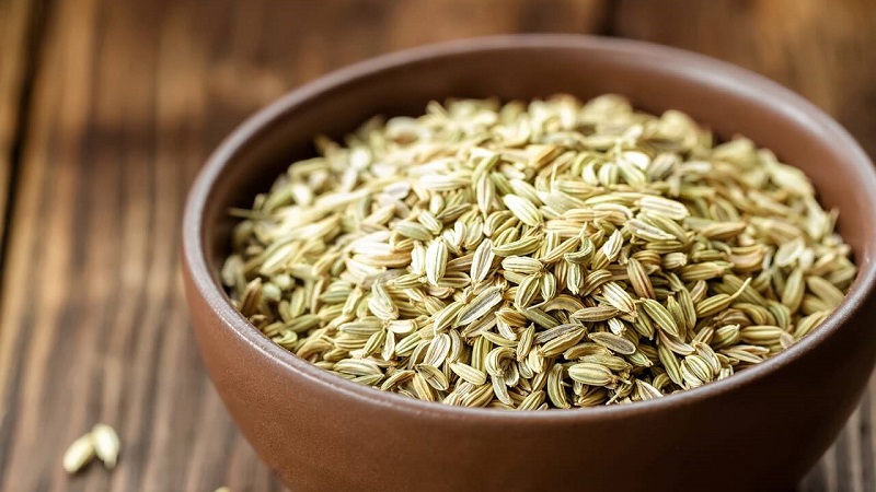How to properly brew and take dill cough seeds for children and adults