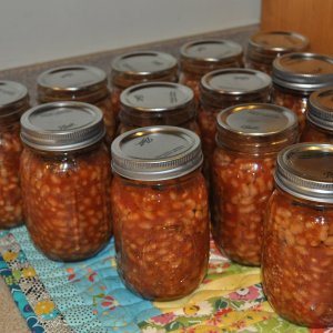 How to cook canned beans for the winter: the most delicious homemade recipes