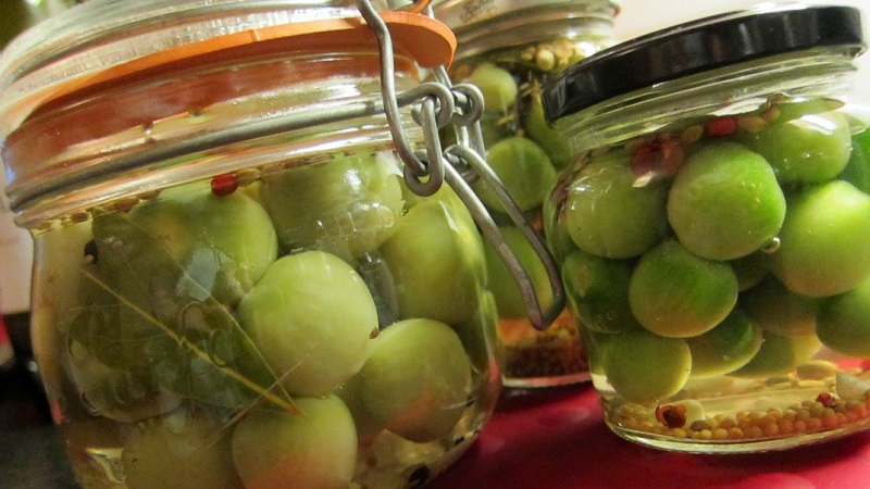 How to cook the most delicious green tomatoes for the winter: a selection of the best recipes
