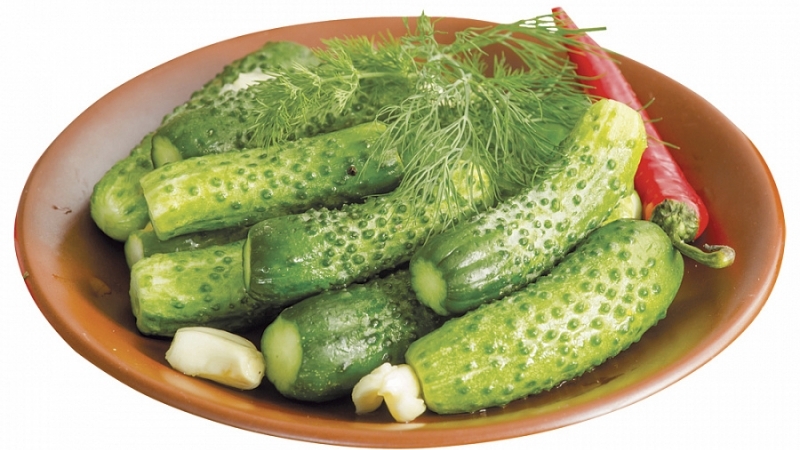 How to salt gherkins cucumbers delicious, quick and easy: 7 best recipes