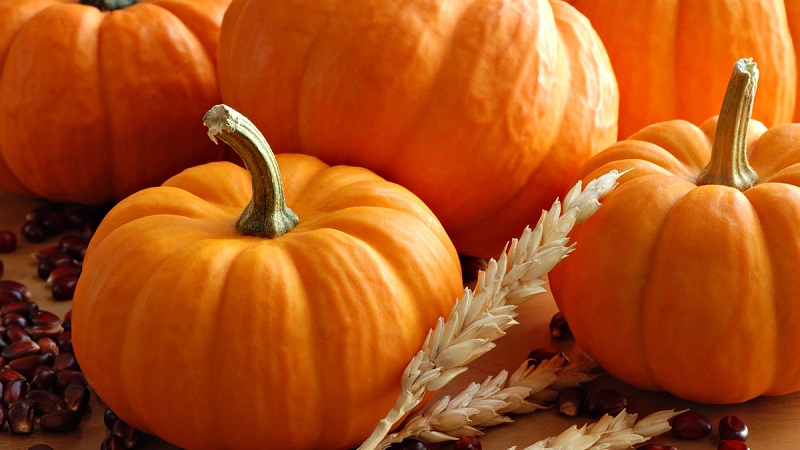 How to use pumpkin for medicinal purposes for stomach ulcers?