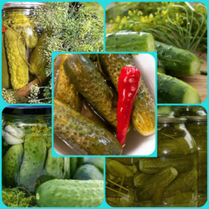 How to deliciously prepare Chinese cucumbers for the winter: recipes and tips
