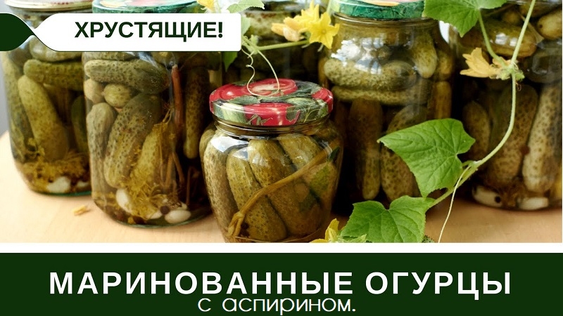 How to prepare pickled cucumbers with aspirin is simple and delicious: 7 best recipes