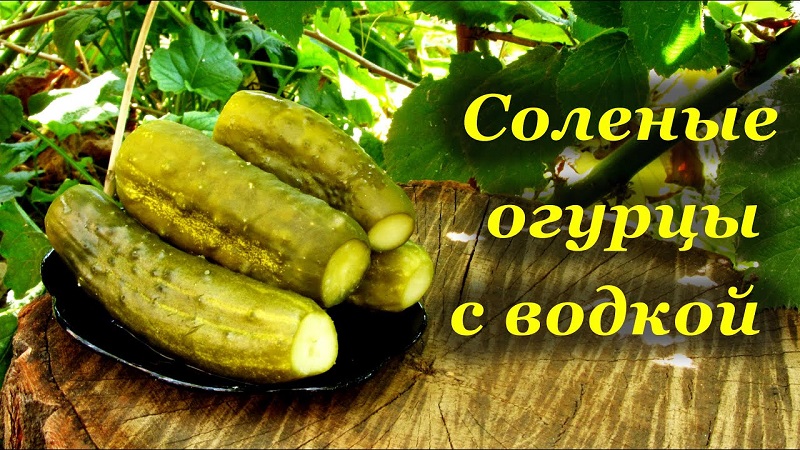 How to prepare crispy cucumbers with vodka for the winter: recipes and tips